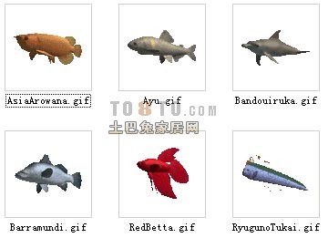 动物-鱼1-30套3d模型下载