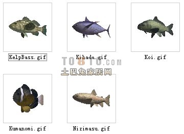 动物3D模型-鱼3D模型2-30套