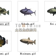 动物-鱼2-30套3d模型下载