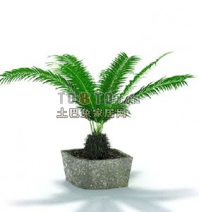 植物花草3D模型36