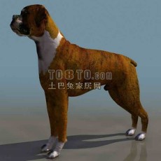 小狗-动物素材23d模型下载