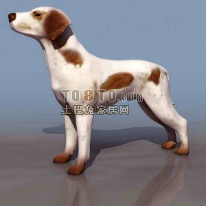 3D小狗模型2套-动物模型33