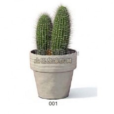 植物素材（20080526更新）13d模型下载