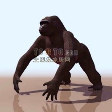 大猩猩-动物223d模型下载