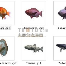动物-鱼1-30套3d模型下载