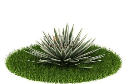 国外植物3D模型11-5套