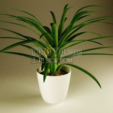 室内盆栽植物3d模型下载