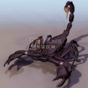蝎子-动物素材3d模型下载