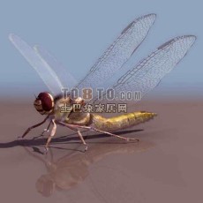 蜻蜓-动物素材3d模型下载