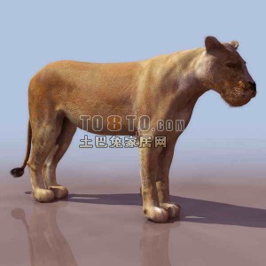 狮子-动物3D模型素材