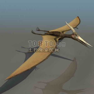 3D恐龙模型-翼龙模型-动物模型13