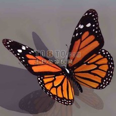 蝴蝶-动物313d模型下载