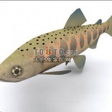 动物-鱼3d模型下载