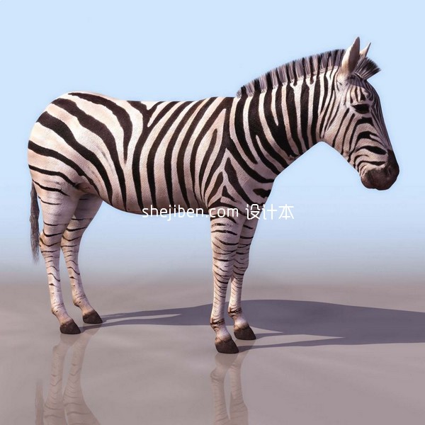 3D斑马模型-动物模型4