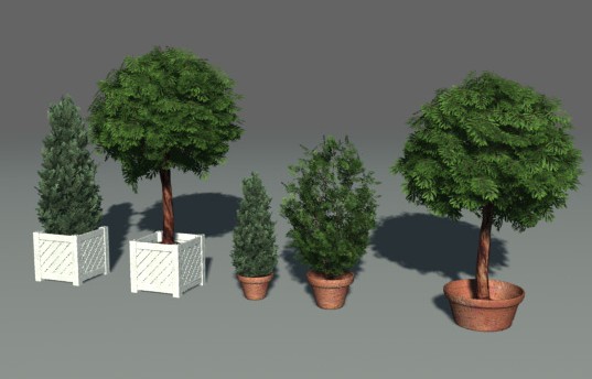 柏树盆景植物3d模型下载