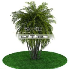 室外植物3d模型下载
