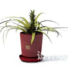 室内植物3d模型下载