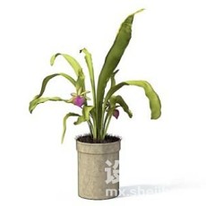 室内植物3d模型下载