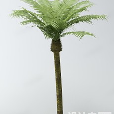 植物3d模型下载