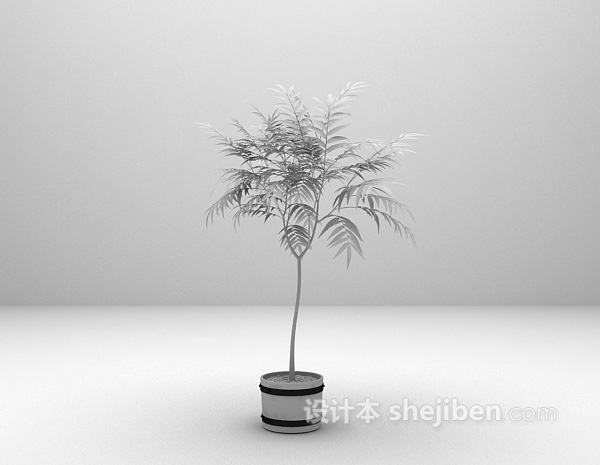 室外植物3d模型推荐