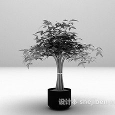 室内盆栽免费3d模型下载