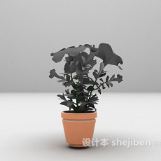 鲜花盆栽3d模型下载