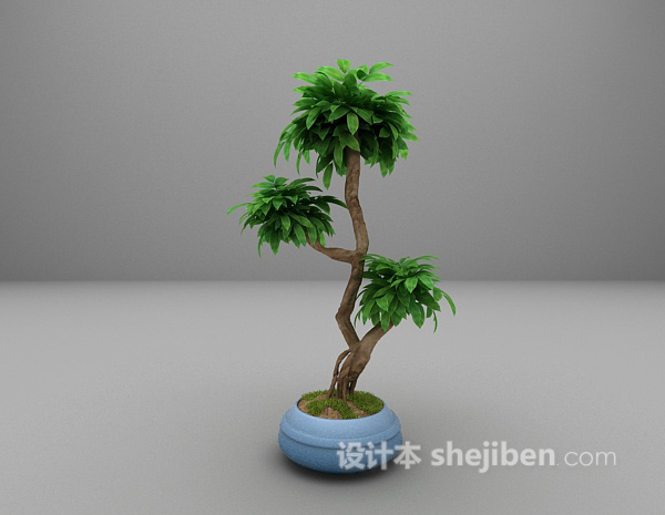 绿色植物3d模型免费下载