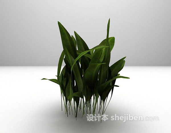 设计本室内盆栽3d模型下载