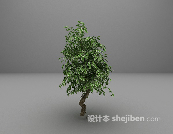 绿色植物3d模型推荐下载