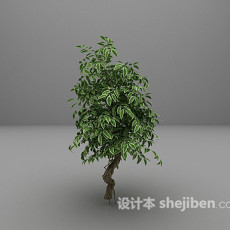 绿色植物推荐3d模型下载