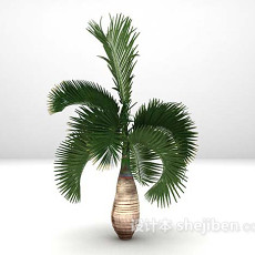 棕榈树3d模型下载