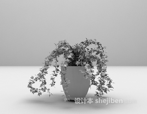 藤类植物盆栽3d模型