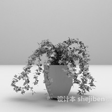 藤类植物盆栽3d模型下载