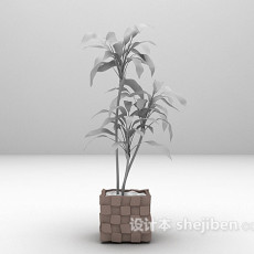 盆栽3d模型下载