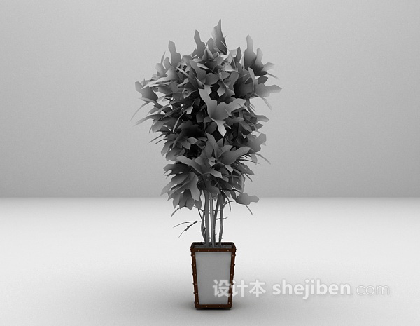 植物室内装饰3d模型下载