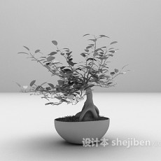 免费盆景植物3d模型下载