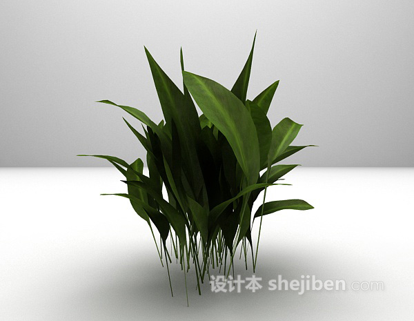 室内盆栽3d模型下载