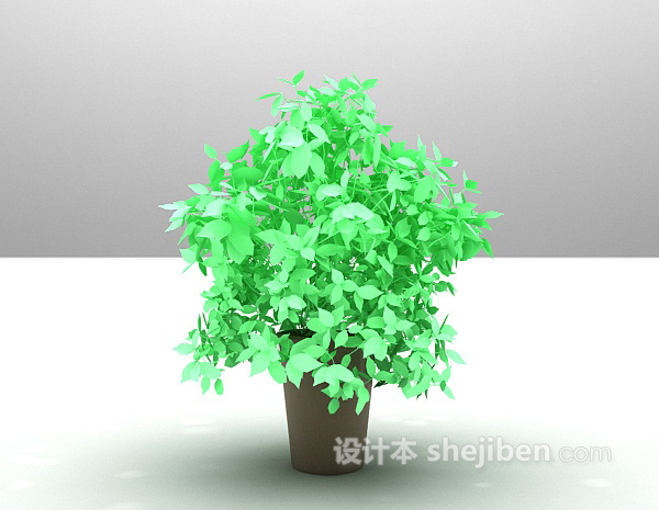 室内小叶绿植3d模型