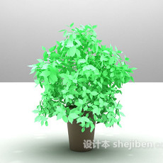 室内小叶绿植3d模型下载