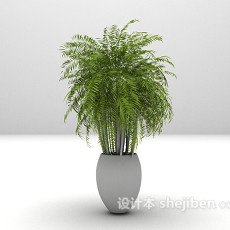 植物盆栽推荐3d模型下载