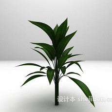 绿色盆栽3d模型下载