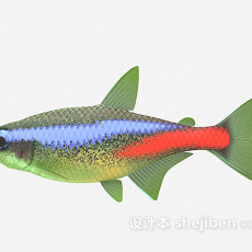 彩色鱼3d模型下载