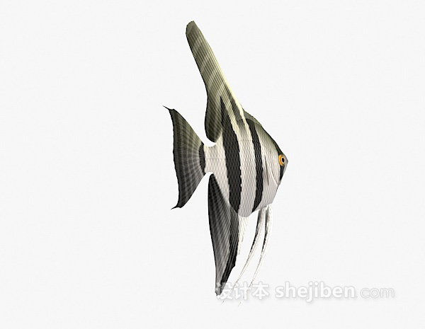 条纹鱼的3d模型