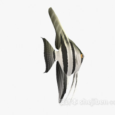 条纹鱼的3d模型下载