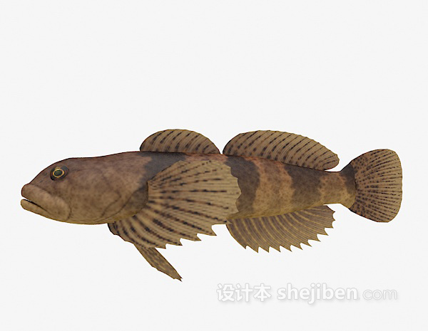 设计本棕色的丑鱼3d模型下载