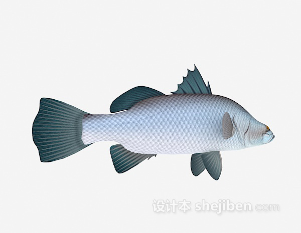 鱼的模型3d下载