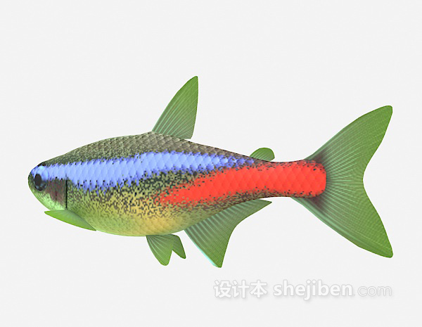 免费彩色鱼3d模型下载