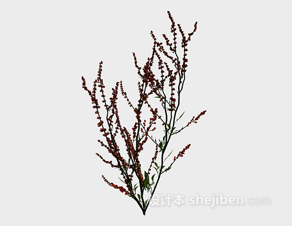 室外红色植物3d模型下载
