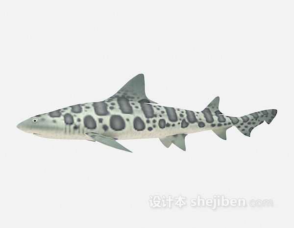 设计本大鱼的3d模型下载