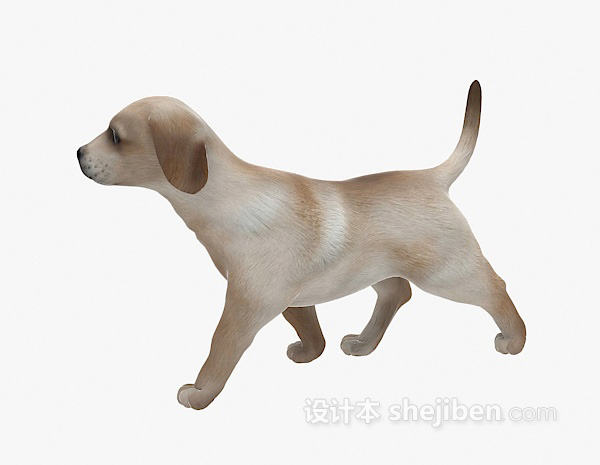 小狗动物模型3d下载